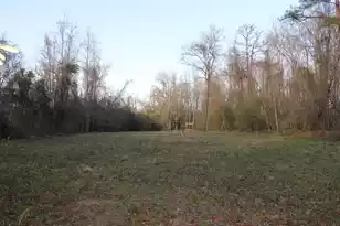 6611 North Rd, North, SC 29112 - Photo 41