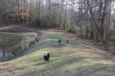 6611 North Road, North, SC 29112 - Photo 35