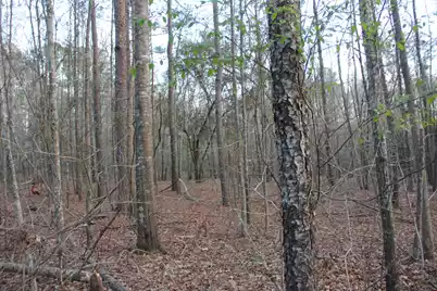 6611 North Road, North, SC 29112 - Photo 7