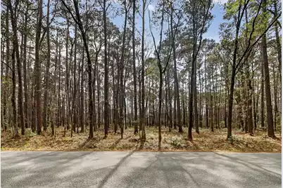 103 Caveson Drive, Summerville, SC 29483 - Photo 1