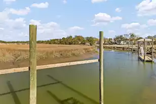 118 Collins Hill Ln, Charleston, SC 29492 - Photo 51