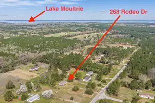 268 Rodeo Dr, Eutawville, SC 29048 - Photo 63