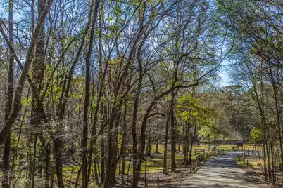 113 Hampton Drive, Summerville, SC 29485 - Photo 45