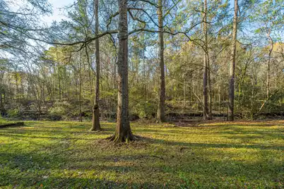 113 Hampton Drive, Summerville, SC 29485 - Photo 15