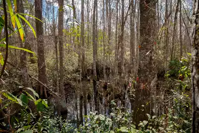 1717 Sc Hwy 45, McClellanville, SC 29458 - Photo 41