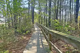 124 Slipper Shell Ct, Mount Pleasant, SC 29464 - Photo 37