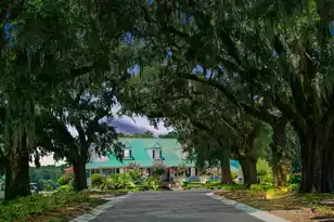 101 Chancellors Dr, Summerville, SC 29485 - Photo 39