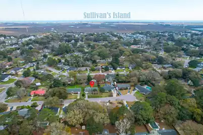 1114 Calm Water Court, Mount Pleasant, SC 29464 - Photo 61