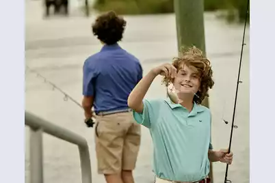 2255 Catesbys Bluff Court, Johns Island, SC 29455 - Photo 109