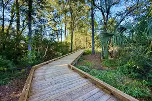 132 Low Tide Ct, Wando, SC 29492 - Photo 51