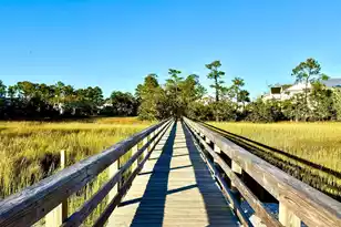 132 Low Tide Ct, Wando, SC 29492 - Photo 61