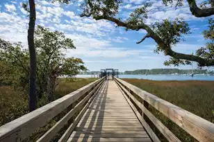 132 Low Tide Ct, Charleston, SC 29492 - Photo 53