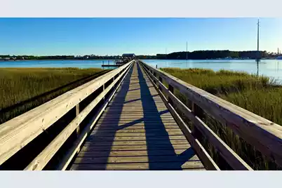 132 Low Tide Court, Charleston, SC 29492 - Photo 67