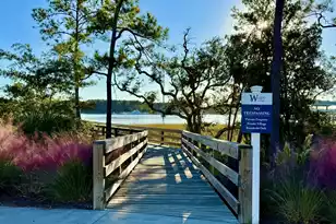 132 Low Tide Ct, Charleston, SC 29492 - Photo 49