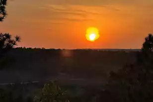 616 Rose Quartz Ln, Lexington, SC 29073 - Photo 41