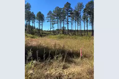 Drf 5 Dawkins Road #Drf 5, Pacolet, SC 29372 - Photo 9