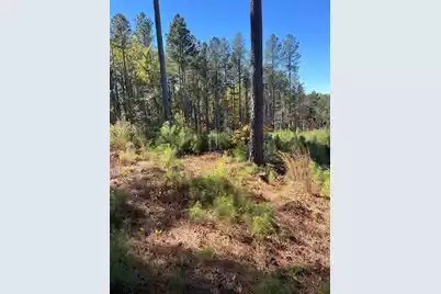 Drf 5 Dawkins Road #Drf 5, Pacolet, SC 29372 - Photo 33