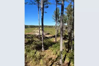 Drf 5 Dawkins Road #Drf 5, Pacolet, SC 29372 - Photo 47