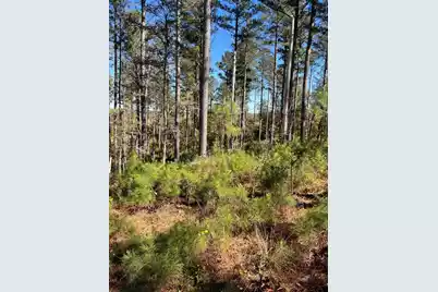 Drf 5 Dawkins Road #Drf 5, Pacolet, SC 29372 - Photo 31