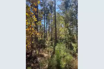 Drf 5 Dawkins Road #Drf 5, Pacolet, SC 29372 - Photo 17