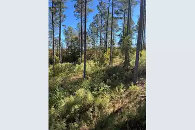 Drf 5 Dawkins Road #Drf 5, Pacolet, SC 29372 - Photo 43