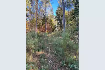 Drf 5 Dawkins Road #Drf 5, Pacolet, SC 29372 - Photo 3