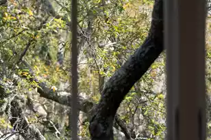 1990 Marsh Oak Ln, Seabrook Island, SC 29455 - Photo 43