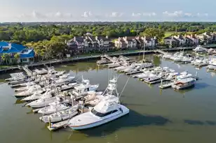 1990 Marsh Oak Ln, Seabrook Island, SC 29455 - Photo 85
