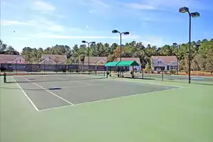 108 Blackbird Loop, Summerville, SC 29483 - Photo 69