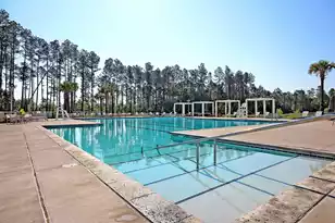 208 Springrise Ln, Summerville, SC 29486 - Photo 53