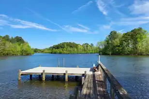 430 Fountain Lake Dr #Fountain Lake Dr, Eutawville, SC 29048 - Photo 1