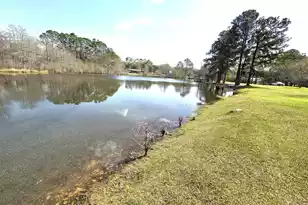 430 Fountain Lake Dr #Fountain Lake Dr, Eutawville, SC 29048 - Photo 25