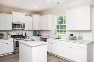 549 Red Monarch Wy, Moncks Corner, SC 29461 - Photo 7