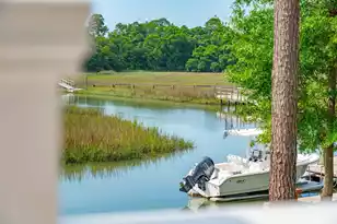 1047 Hills Plantation Dr, Charleston, SC 29412 - Photo 29