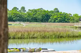 1047 Hills Plantation Dr, Charleston, SC 29412 - Photo 65