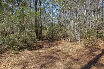 9168 Old Georgetown Road, McClellanville, SC 29458 - Photo 31