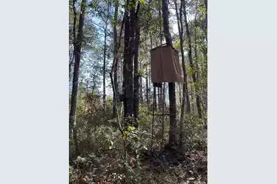 9168 Old Georgetown Road, McClellanville, SC 29458 - Photo 33