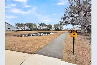 5030 Lady Bird Alley, Johns Island, SC 29455 - Photo 77
