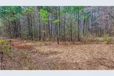 0 Willow Brook Way, Cordesville, SC 29434 - Photo 9