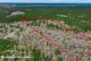 0 Willow Brook Way, Cordesville, SC 29434 - Photo 1