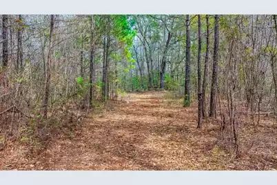 0 Willow Brook Way, Cordesville, SC 29434 - Photo 7