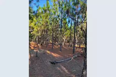 Ppf 14 Payne Pond Road #Ppf 14, Westville, SC 29175 - Photo 23