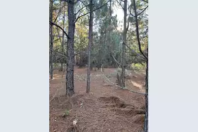 Ppf 14 Payne Pond Road #Ppf 14, Westville, SC 29175 - Photo 15