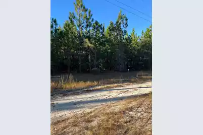 Ppf 14 Payne Pond Road #Ppf 14, Westville, SC 29175 - Photo 5