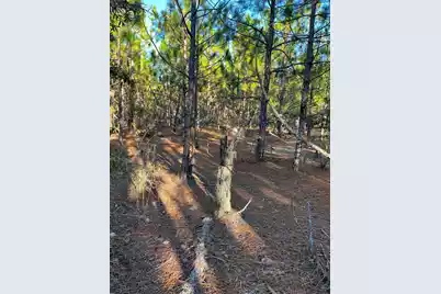 Ppf 14 Payne Pond Road #Ppf 14, Westville, SC 29175 - Photo 25