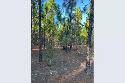 Ppf 14 Payne Pond Road #Ppf 14, Westville, SC 29175 - Photo 9