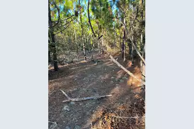 Ppf 14 Payne Pond Road #Ppf 14, Westville, SC 29175 - Photo 11