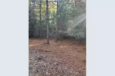 Ppf 17 Payne Pond Road #Ppf 17, Westville, SC 29175 - Photo 11