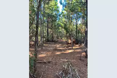 Ppf 17 Payne Pond Road #Ppf 17, Westville, SC 29175 - Photo 19