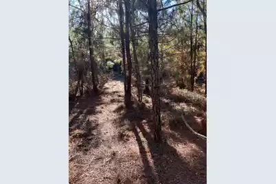 Ppf 18 Payne Pond Road #Ppf 18, Westville, SC 29175 - Photo 15